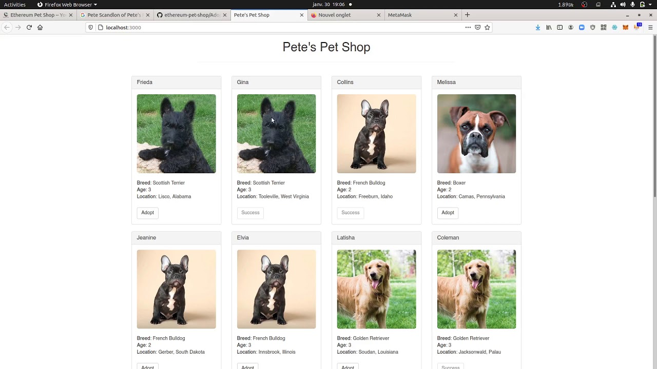 Ethereum Truffle Pet Shop DApp running on an Amazon EC2