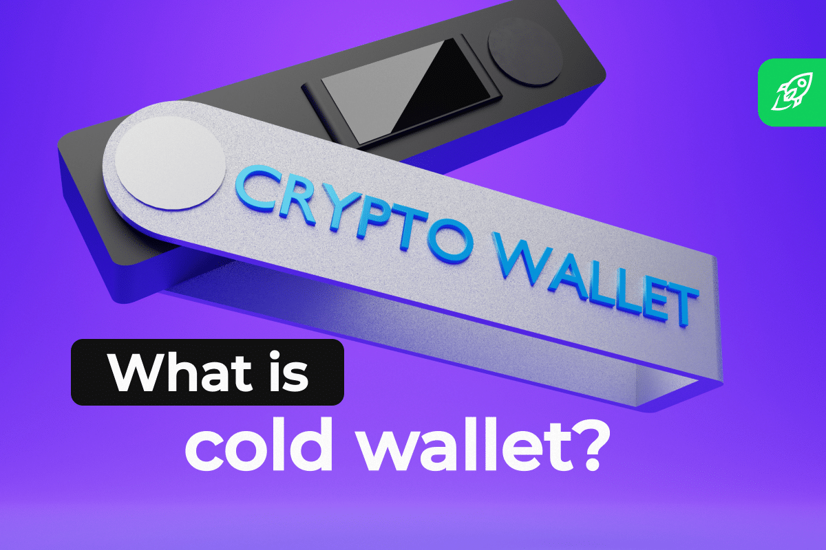 Hot Wallet vs Cold Crypto Wallet: What’s The Difference? | Ledger