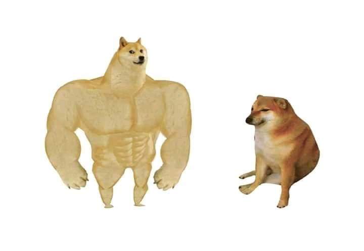 doge then and now Blank Template - Imgflip