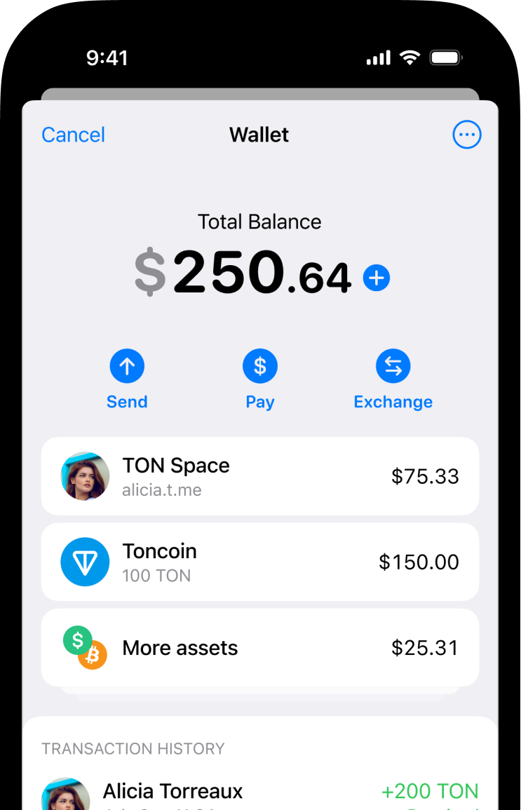 Connect to Toncoin (TON) node and explorer | NOWNodes