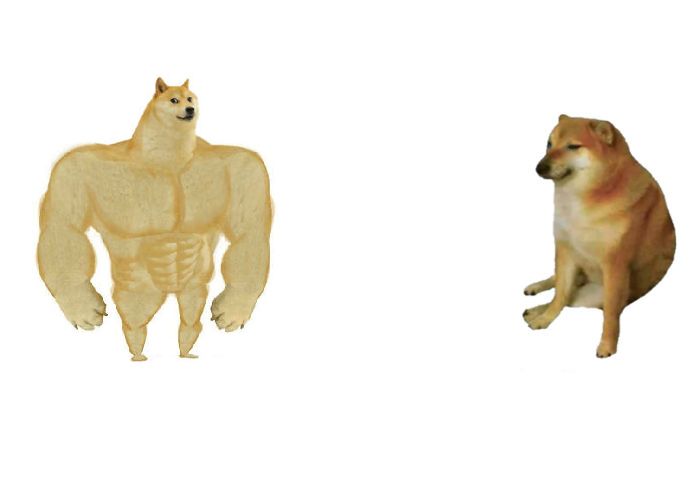 Doge before and after Meme Generator - Imgflip