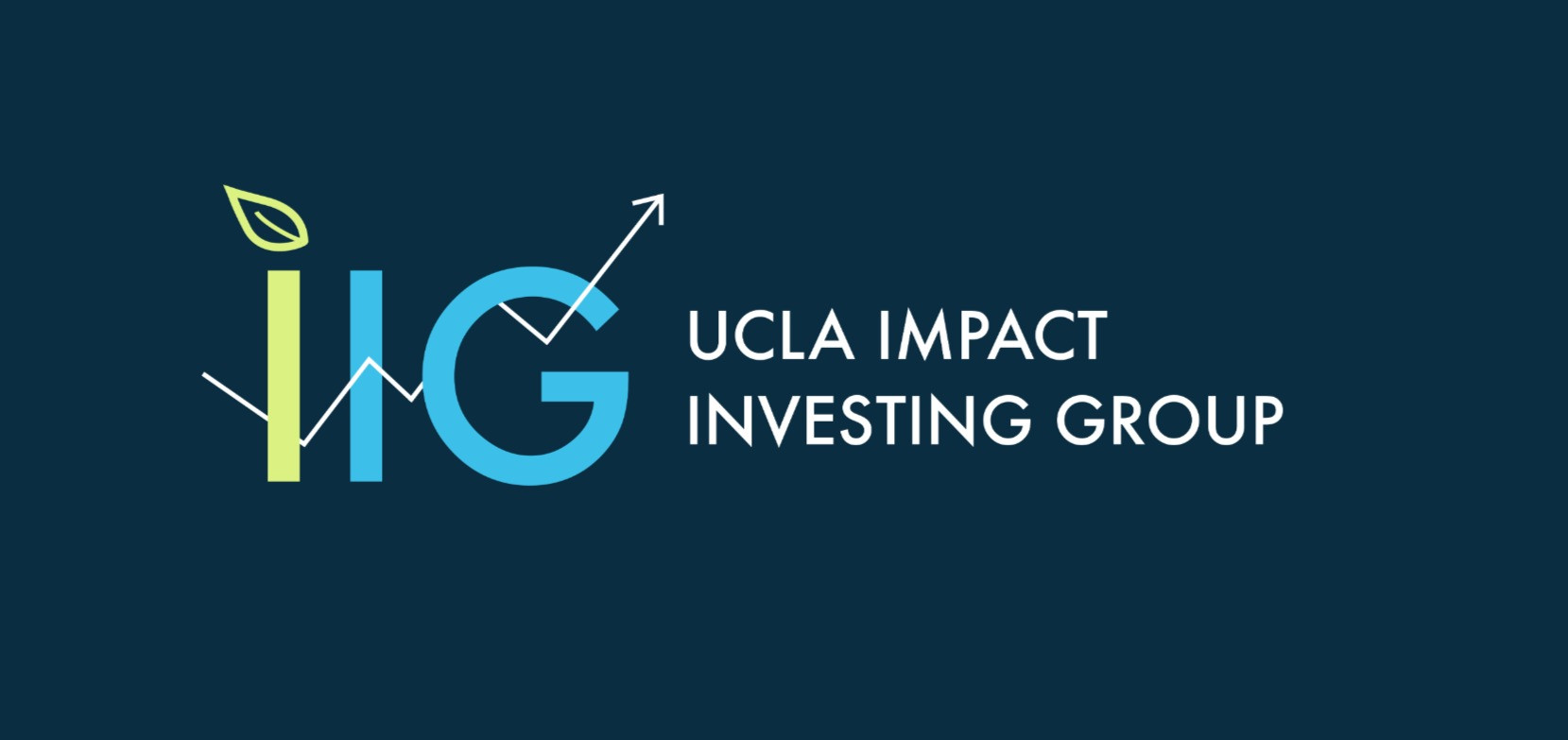 Homepage - Impact Investment Group