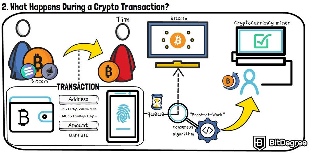 What is Bitcoin? The Basics of Bitcoin Explained