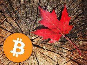 6 Best Exchanges To Buy Bitcoin in Canada ()