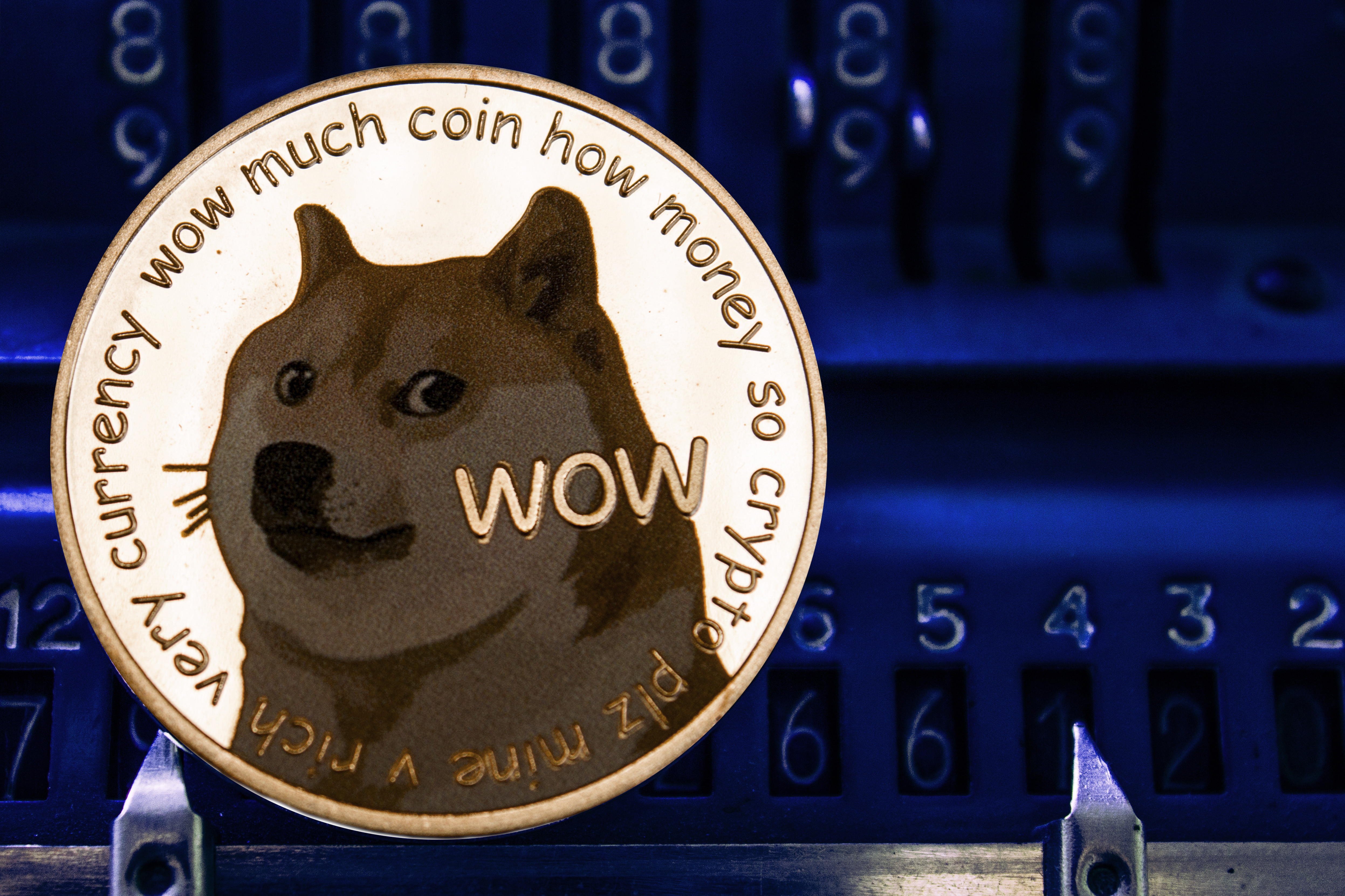 Dogecoin price live today (08 Mar ) - Why Dogecoin price is up by % today | ET Markets