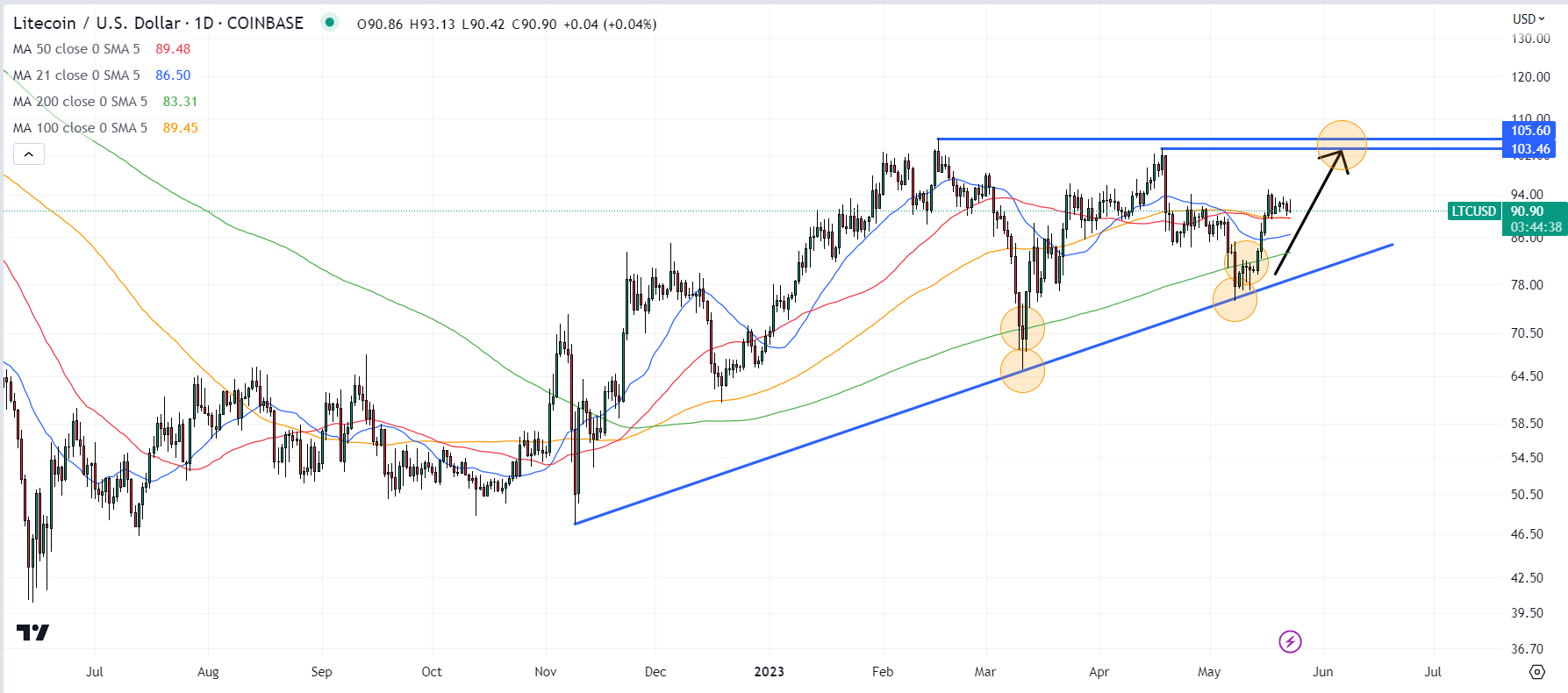 Litecoin Halving Price Prediction [What To Expect] | CoinCodex