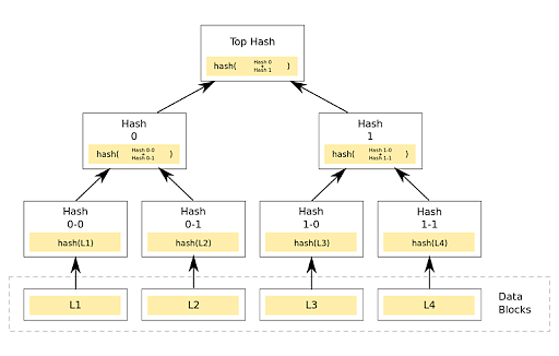 Merkle Trees | Cryptocurrency & Blockchain Technology