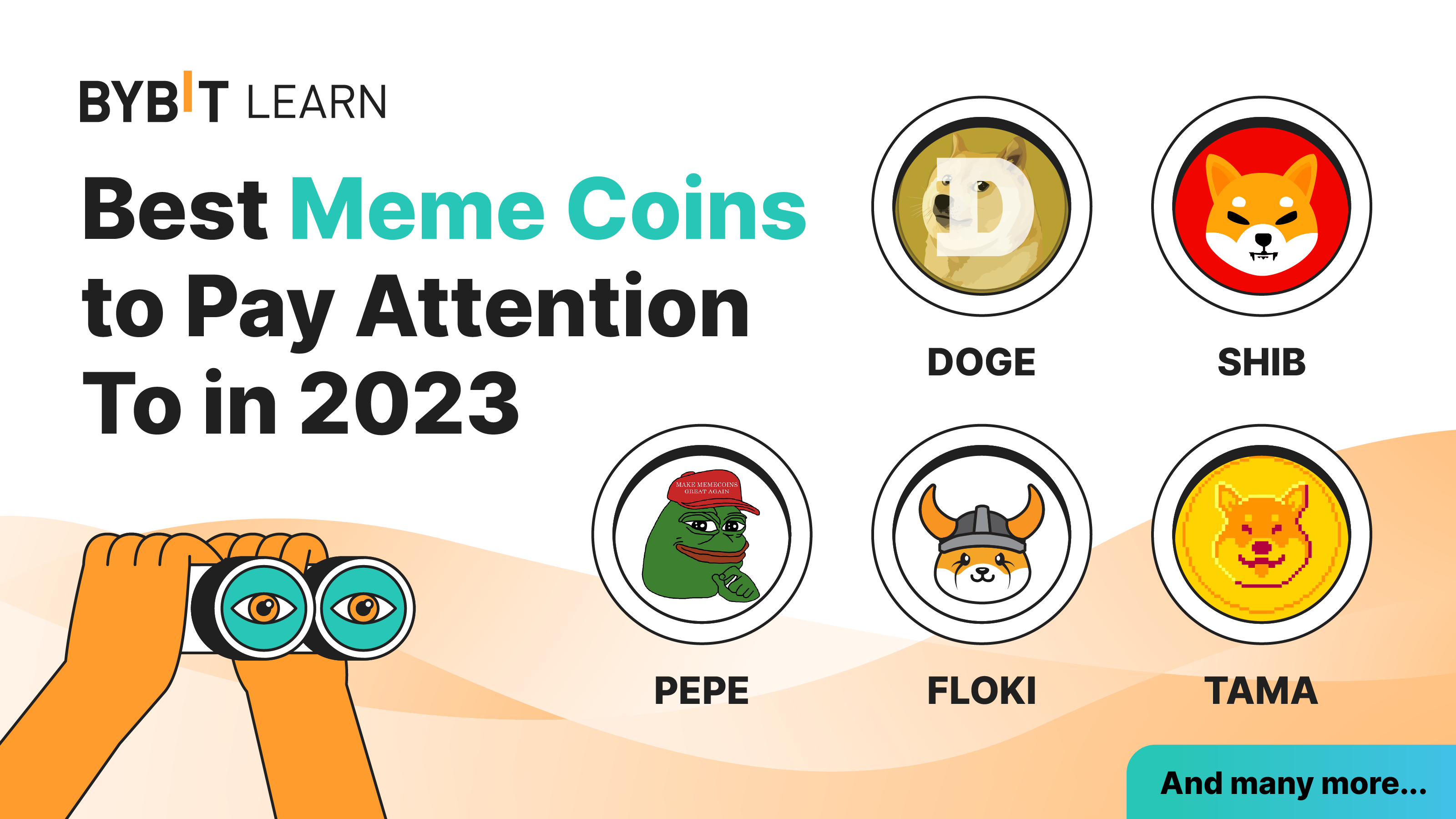 Top Meme Coins to Buy Now: What You Need to Know