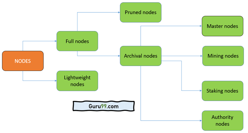 What Are Blockchain Nodes and How Do They Work? | Built In