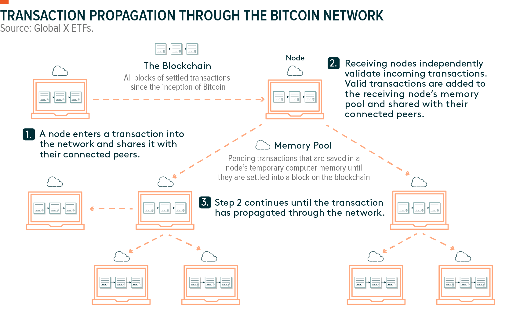 Blockchain Nodes