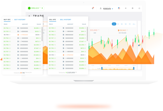 Exchange Payeer to USD Coin