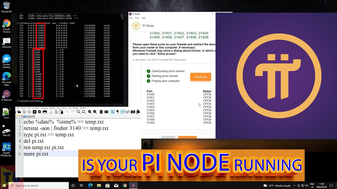 Download Pi Network APK for Android, Run on PC and Mac