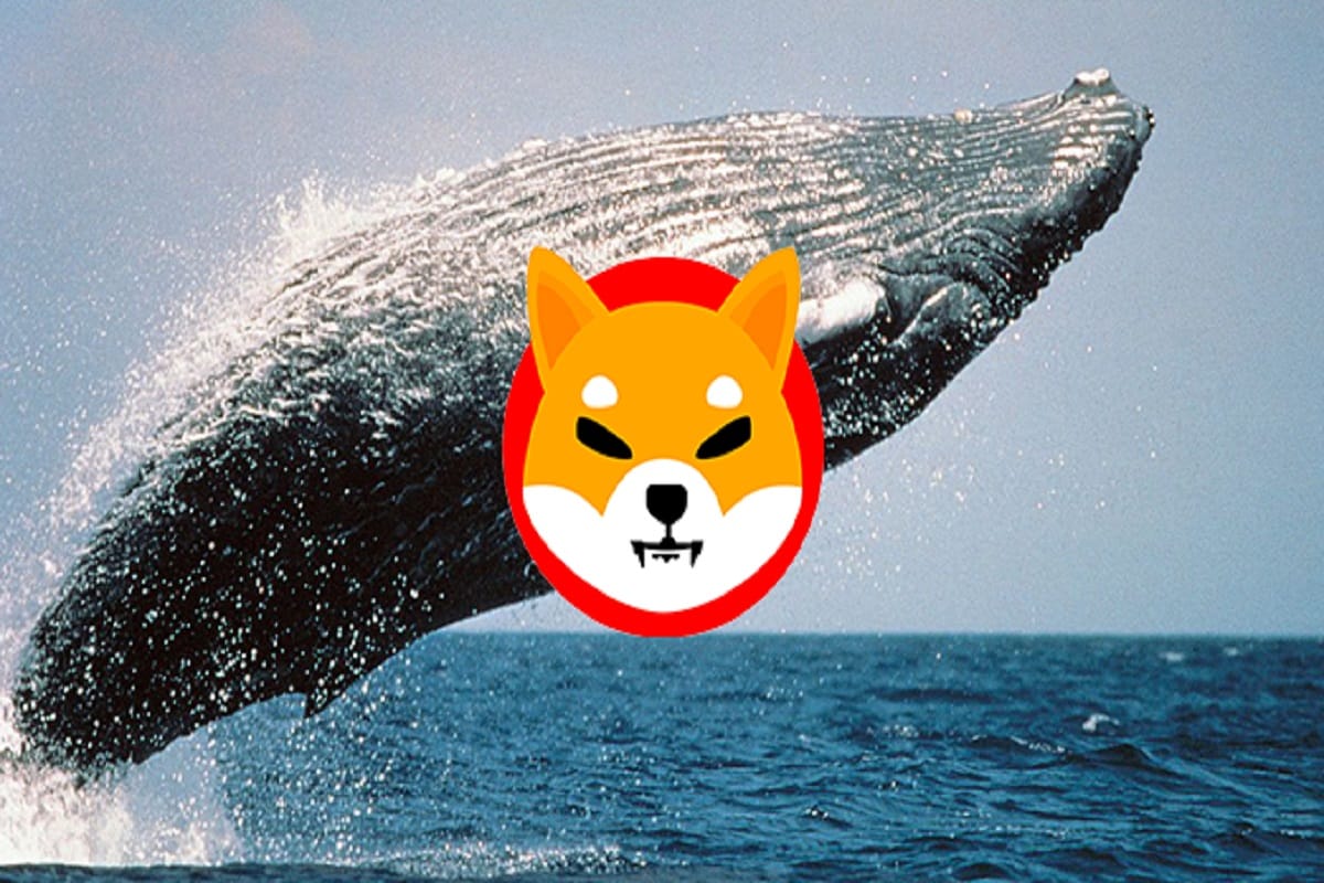 Shiba Inu (SHIB) Price Overtakes Dogecoin as Crypto Whales Invest $M in 7-Days | FXEmpire