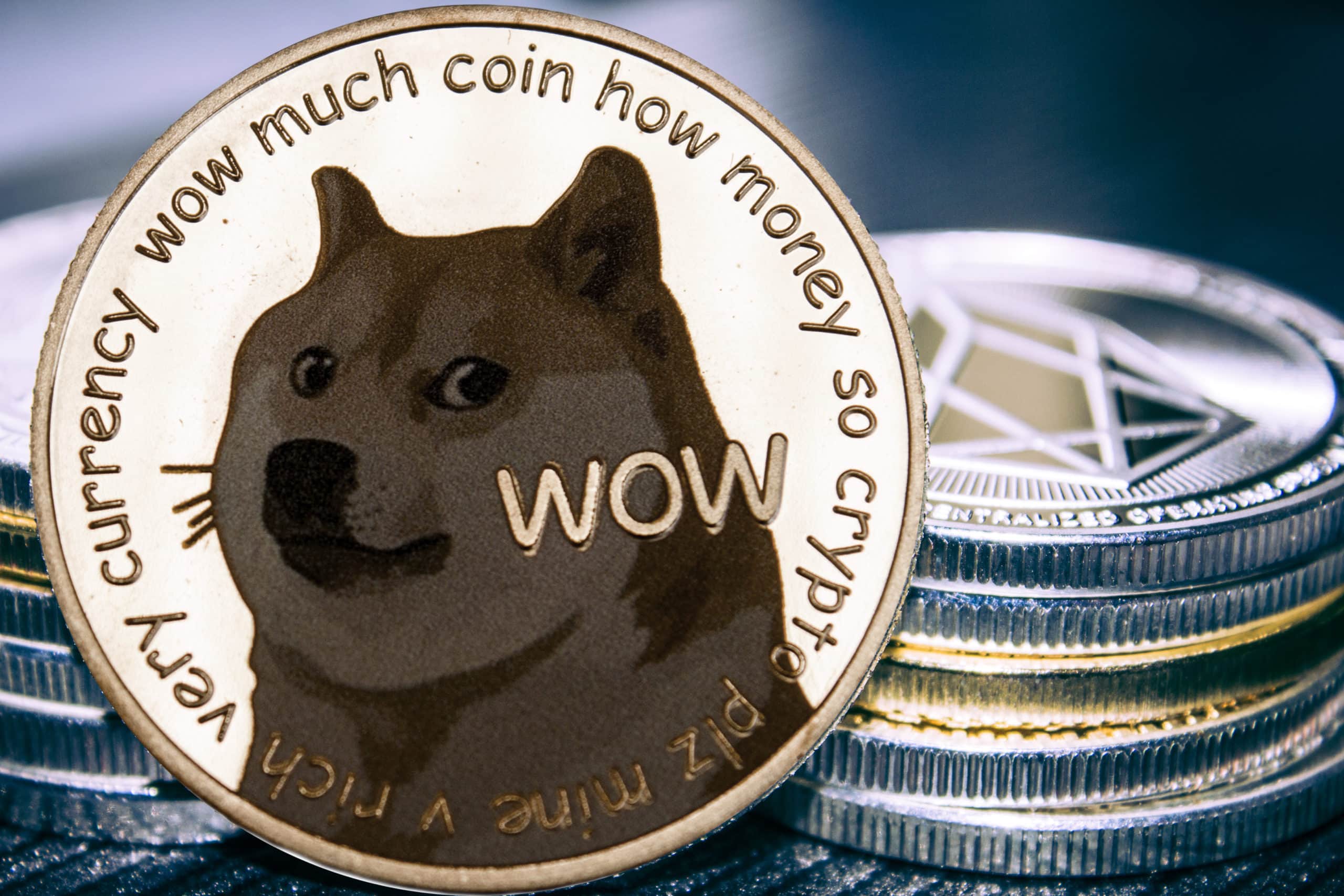 Is It Too Late to Buy Dogecoin Today & in ?