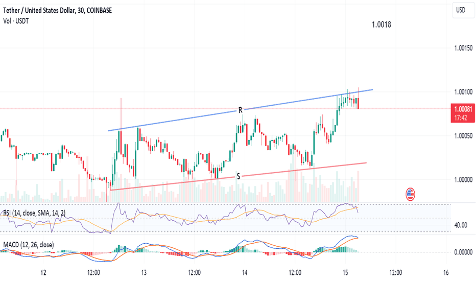 USDCUSDT Charts and Quotes — TradingView