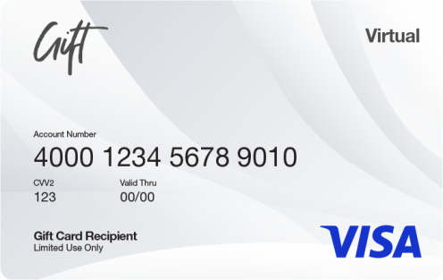 cointime.fun: Visa $ Gift Card (plus $ Purchase Fee) : Gift Cards