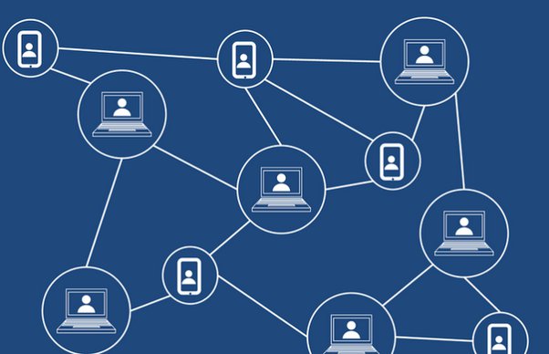 What is a Blockchain node, and what is it for? - Scaling Parrots