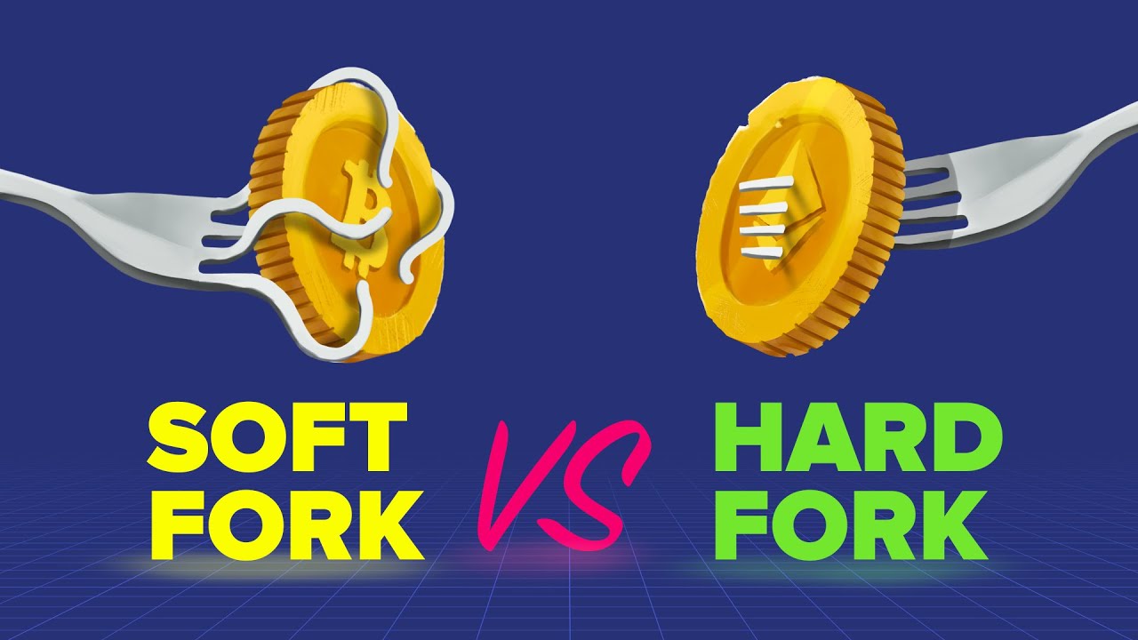 Explained | What are hard forks and soft forks in blockchain?