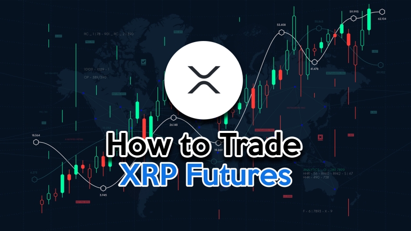 Best Ripple (XRP) Trading Brokers