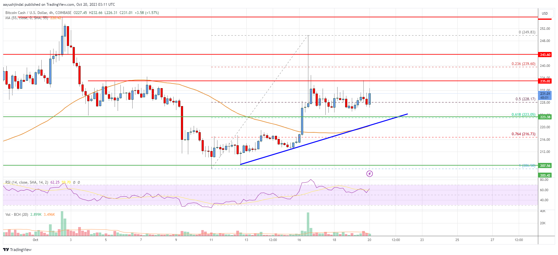 Bitcoin Cash (BCH) Price Skyrockets 20% as Major Indicator Goes Bullish