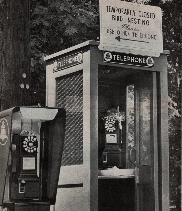 The first public payphone was built and installed in 