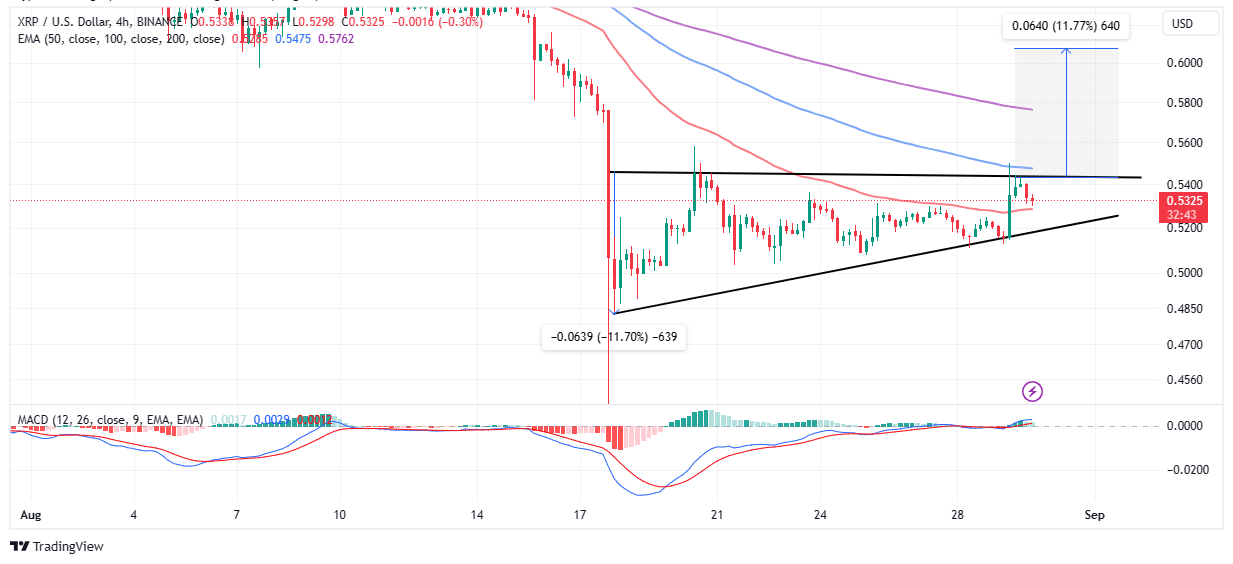 Ripple XRP to Tether USD Exchange / Buy & Sell Bitcoin / HitBTC